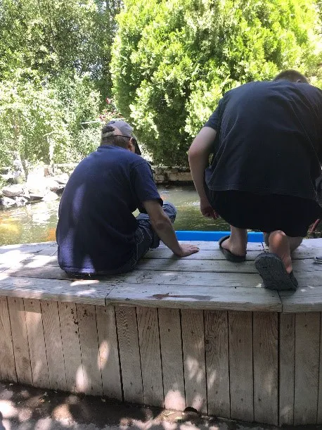 Utah Koi 7