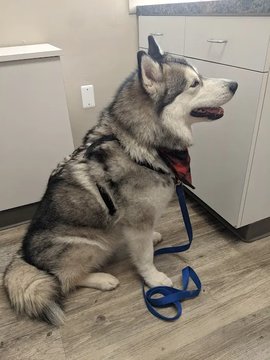 Animal Medical Center of Van Buren 3