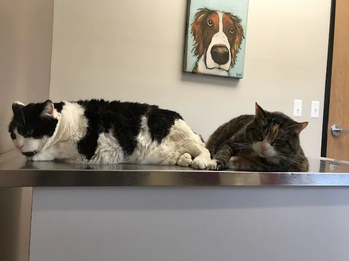 Animal Medical Center of Van Buren 1