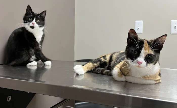 Animal Medical Center of Van Buren 2