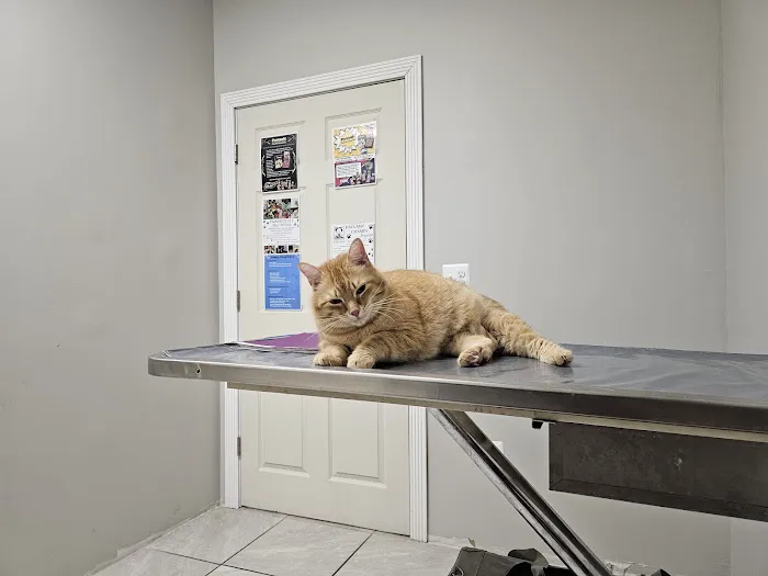 Healthy Paws Veterinary Hospital 7