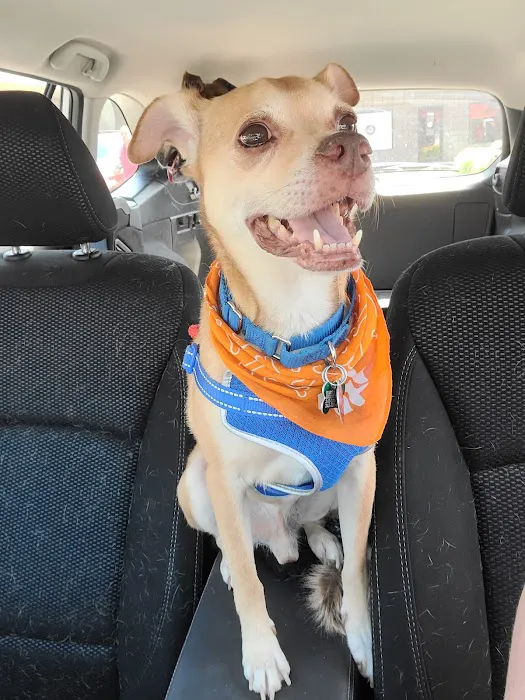 Healthy Paws Veterinary Hospital 6