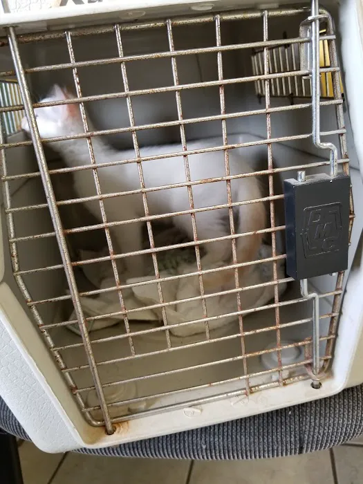 Healthy Paws Veterinary Hospital 9