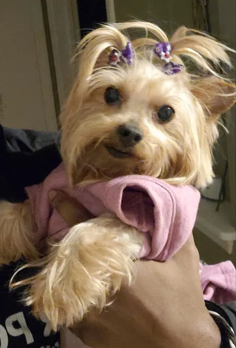 Healthy Paws Veterinary Hospital 8