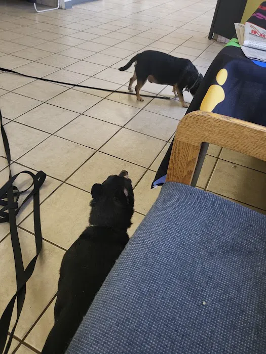 Healthy Paws Veterinary Hospital 5