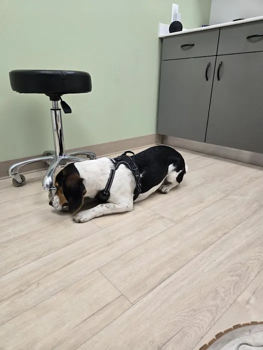 Lifeline Veterinary Urgent Care 2