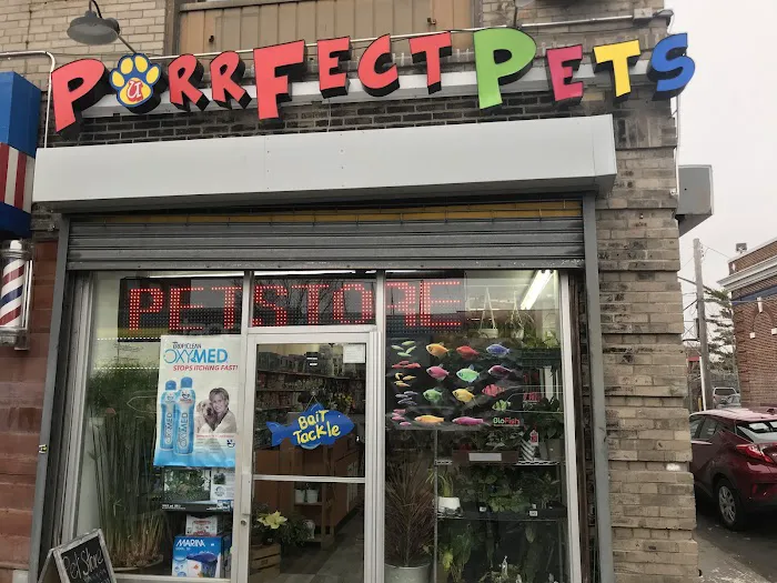 Purrfect pets 3