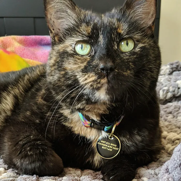 Ypsilanti Animal Clinic 1