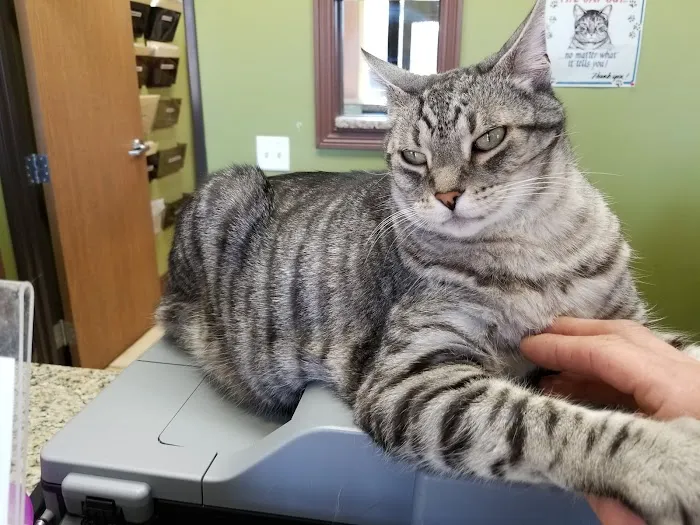Michigan Avenue Animal Hospital 9