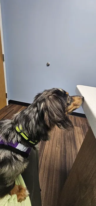 Doctor Paws Veterinary Hospital 6