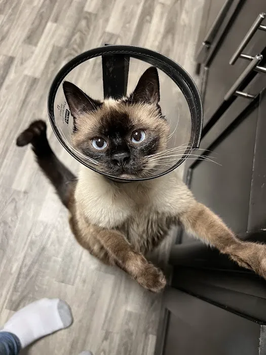Doctor Paws Veterinary Hospital 1