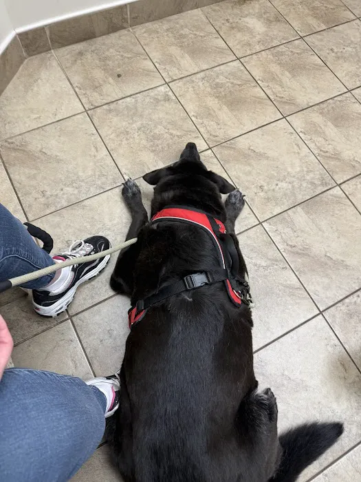 FLAT ROCK ANIMAL CLINIC 8