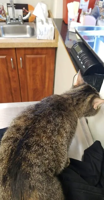 FLAT ROCK ANIMAL CLINIC 7