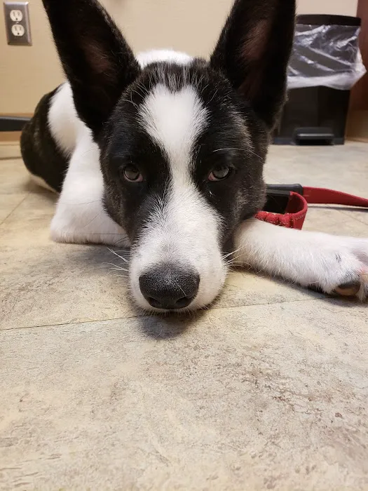 Cahill Veterinary Hospital 10