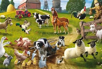 Mountain View Farm and Feed 1