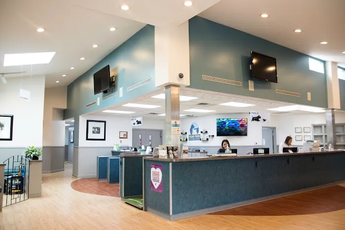 Gibraltar Veterinary Hospital 7