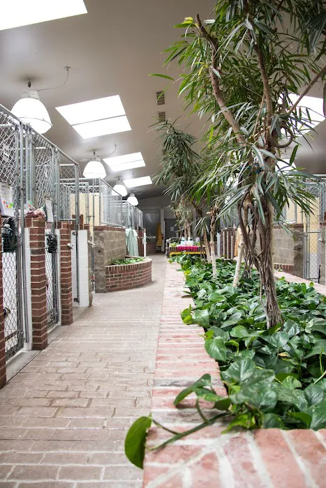 Gibraltar Veterinary Hospital 9