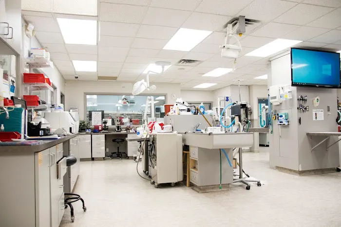 Gibraltar Veterinary Hospital 8