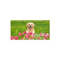 Gibraltar Veterinary Hospital ico