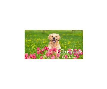 Gibraltar Veterinary Hospital