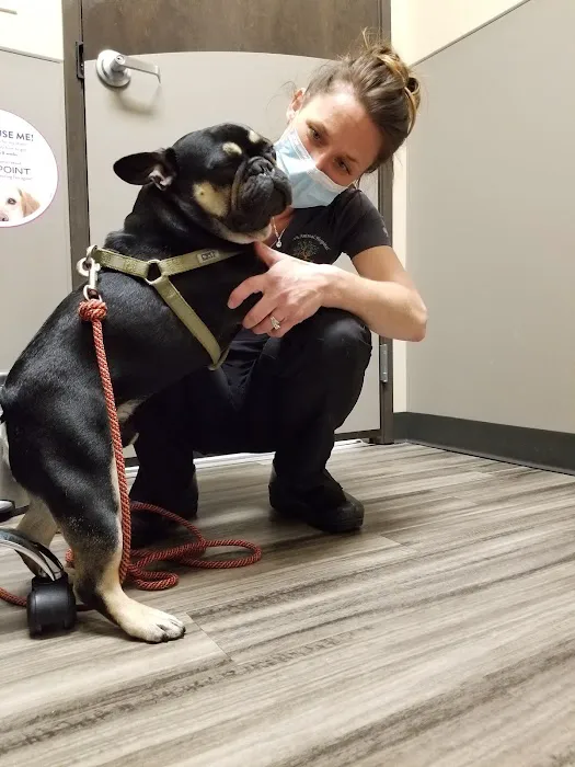 Woodhaven Animal Hospital 3