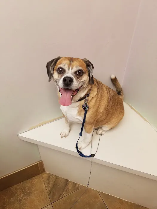 Willowood Acres Veterinary Clinic 10