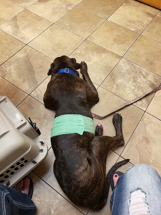 Willowood Acres Veterinary Clinic 3