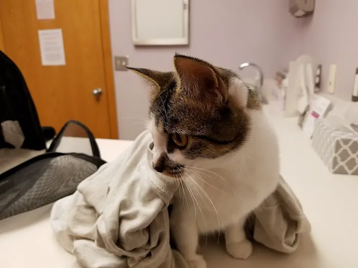 Willowood Acres Veterinary Clinic 4