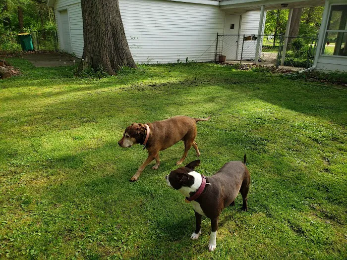 Willowood Acres Veterinary Clinic 9