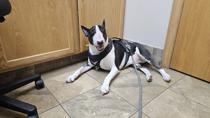 Willowood Acres Veterinary Clinic 1