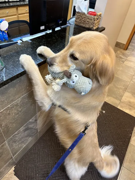 Willowood Acres Veterinary Clinic 6
