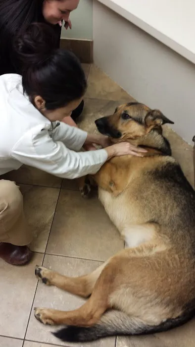 Willowood Acres Veterinary Clinic 2