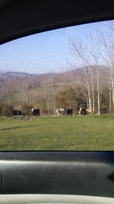 Kane Gap Kennels 1