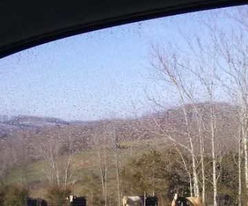 Kane Gap Kennels