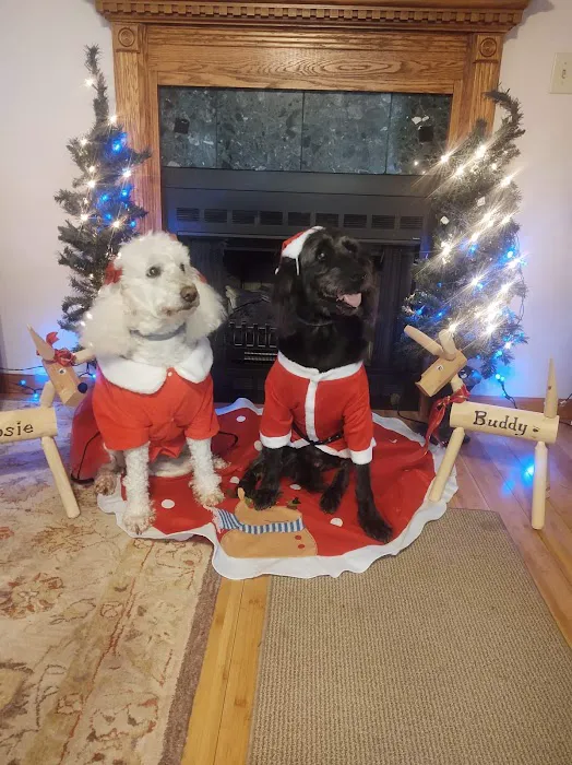 Barkery Tails 4
