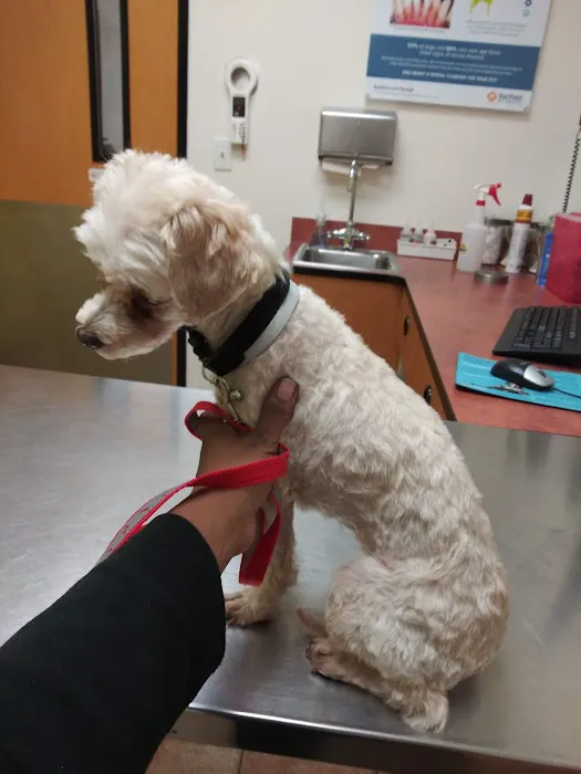 Banfield Pet Hospital 5