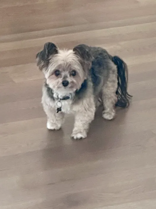 Banfield Pet Hospital 4