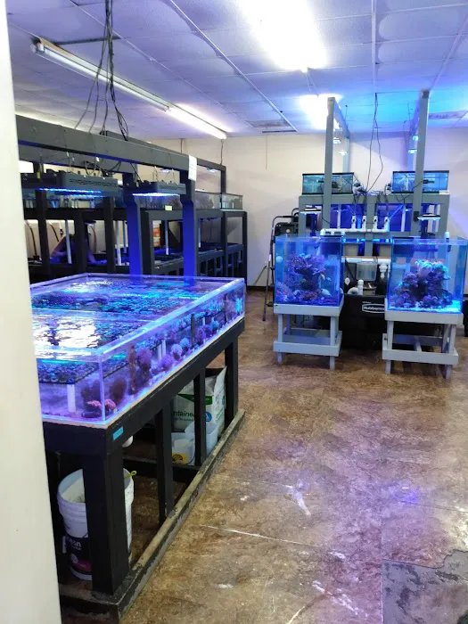 The Coral Reef 10