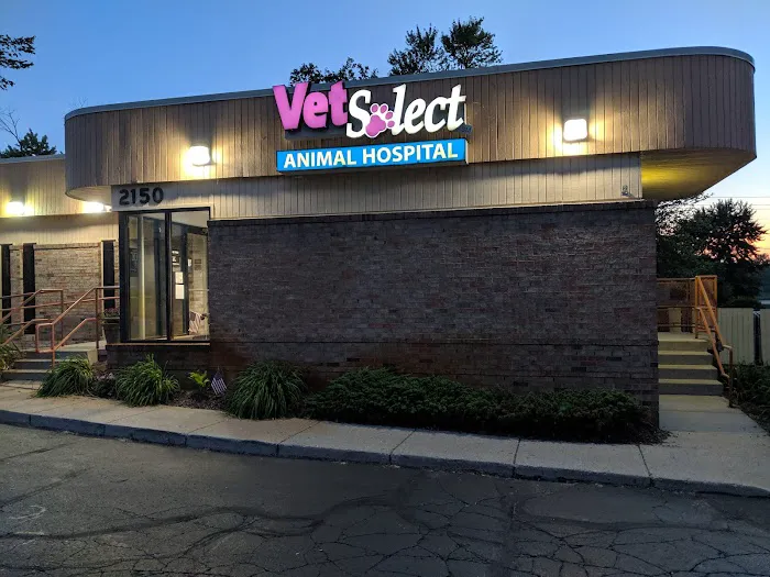 VetSelect Animal Hospital of Novi 3