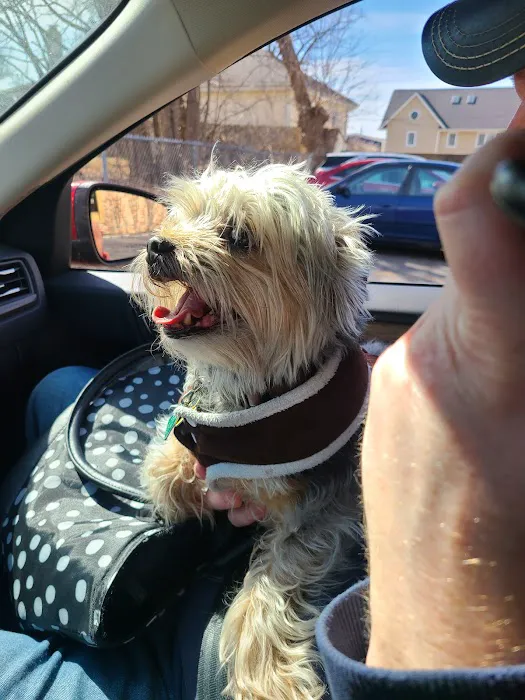 VetSelect Animal Hospital of Novi 6