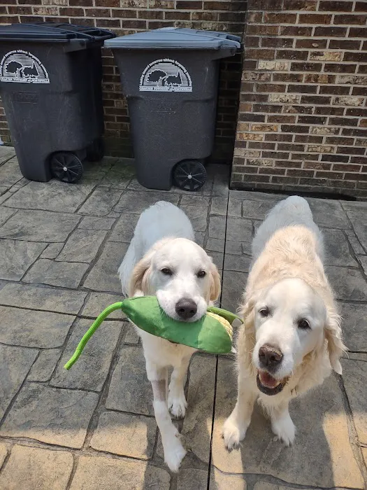 VetSelect Animal Hospital of Novi 10