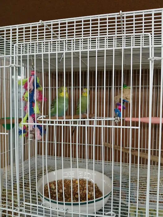 Critter Connection 10