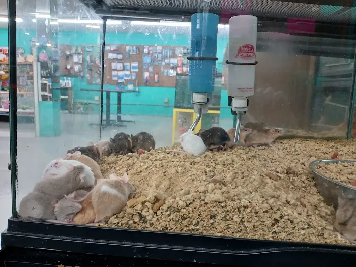 Critter Connection 7
