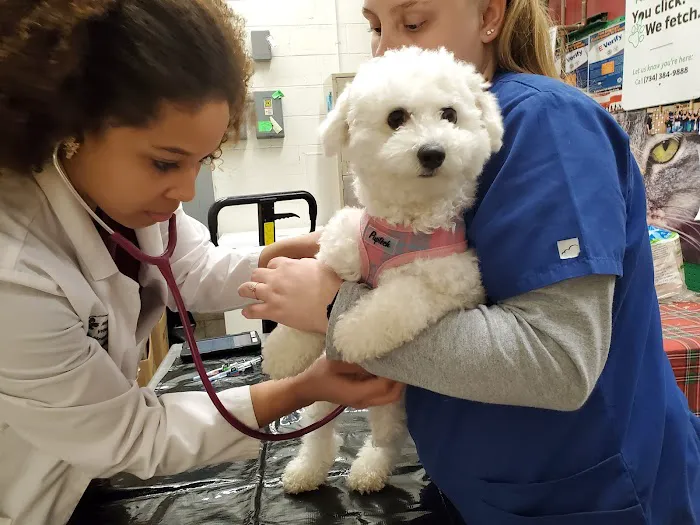 VIP Petcare 1