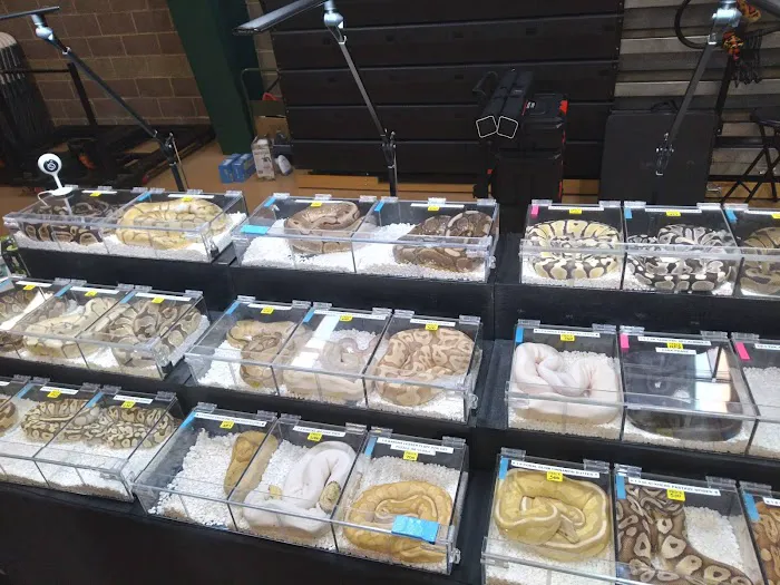 Espresso Exotic Animal Expo 4