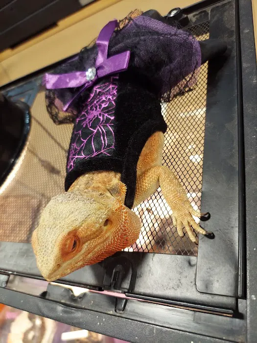 Espresso Exotic Animal Expo 7