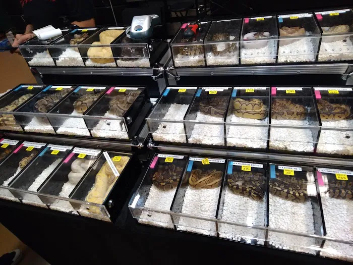 Espresso Exotic Animal Expo 6