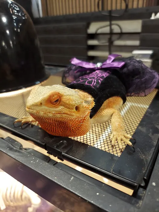 Espresso Exotic Animal Expo 5