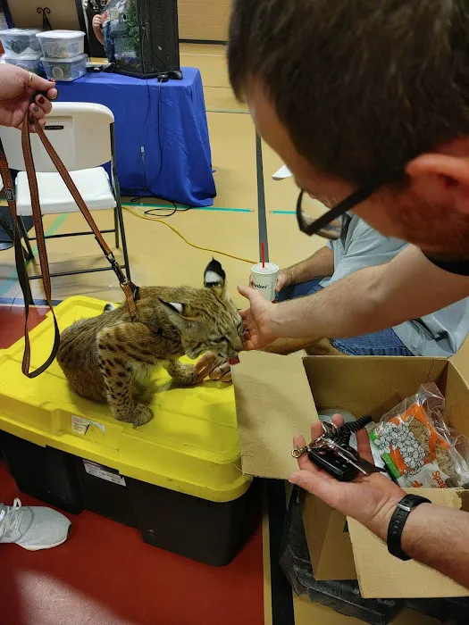 Espresso Exotic Animal Expo 10