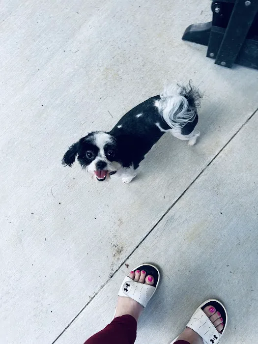 Pickle Puss Pet Boutique 5